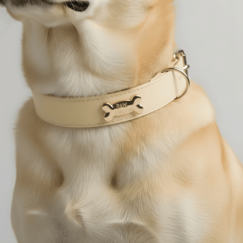 Butter Dog Collar 🧈 - PAW LONDON