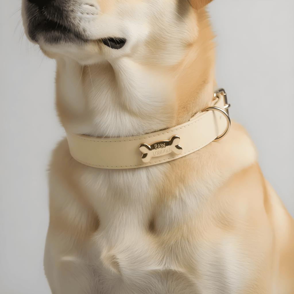 Butter Dog Collar - PAW LONDON