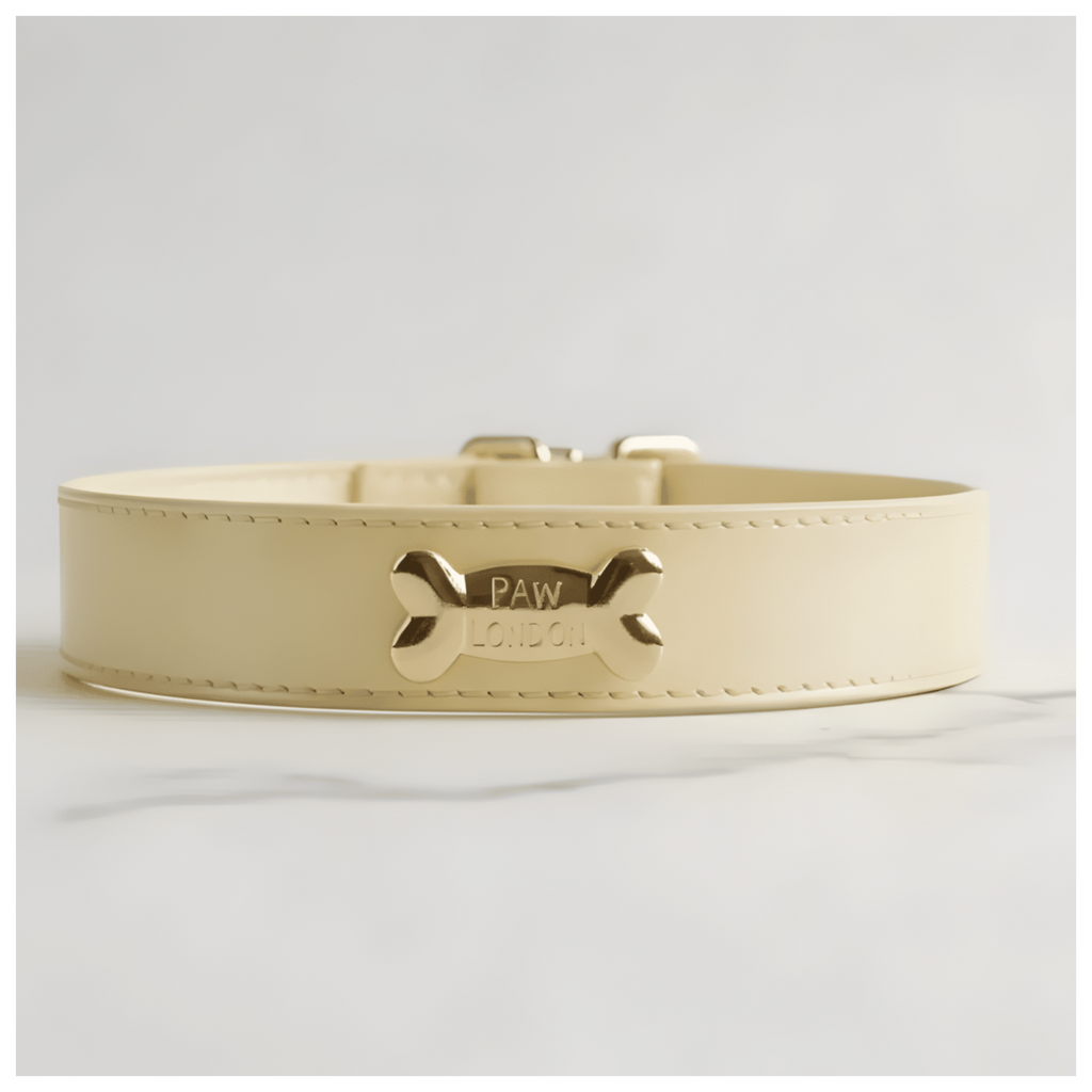 Butter Dog Collar 🧈 - PAW LONDON