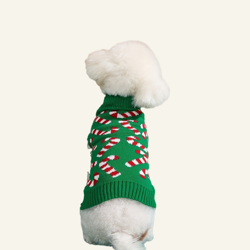 Dog wearing the candy cane jumper, back view