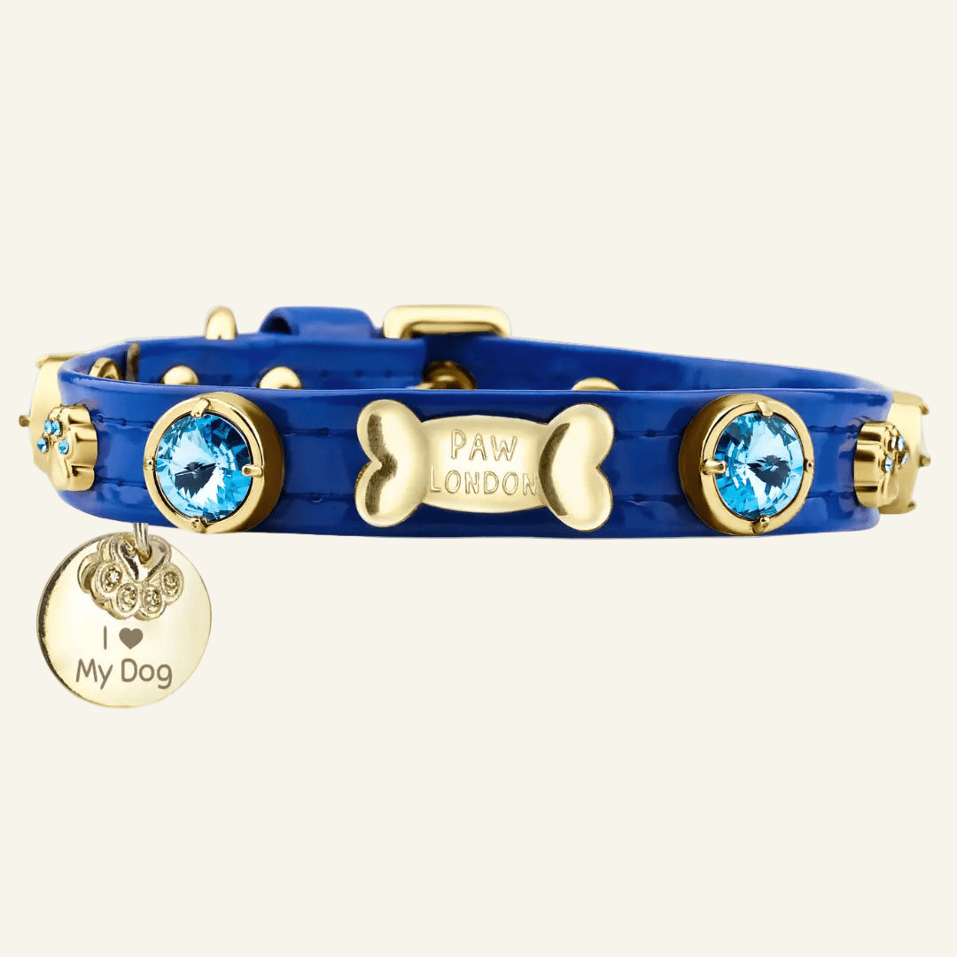 Capri Swarovski® Royal Blue Dog Collar 💎 - PAW LONDON