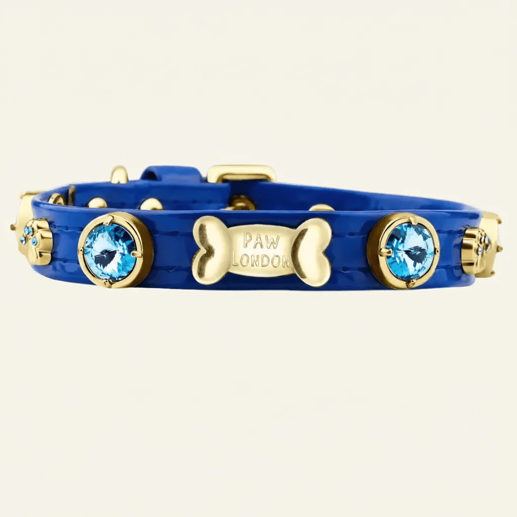 Capri Swarovski® Royal Blue Dog Collar 💎 - PAW LONDON