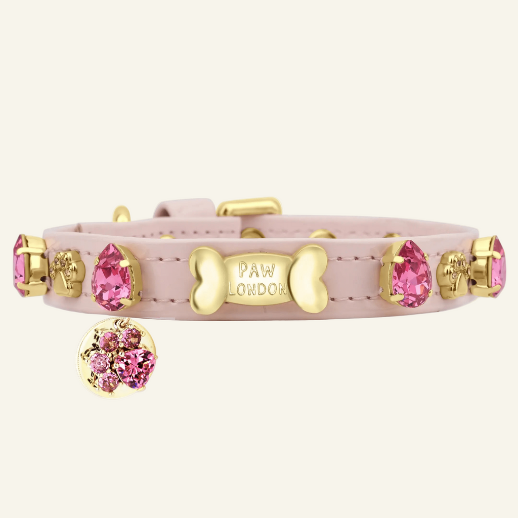 Chelsea Pink Swarovski Dog Collar 💎 - PAW LONDON