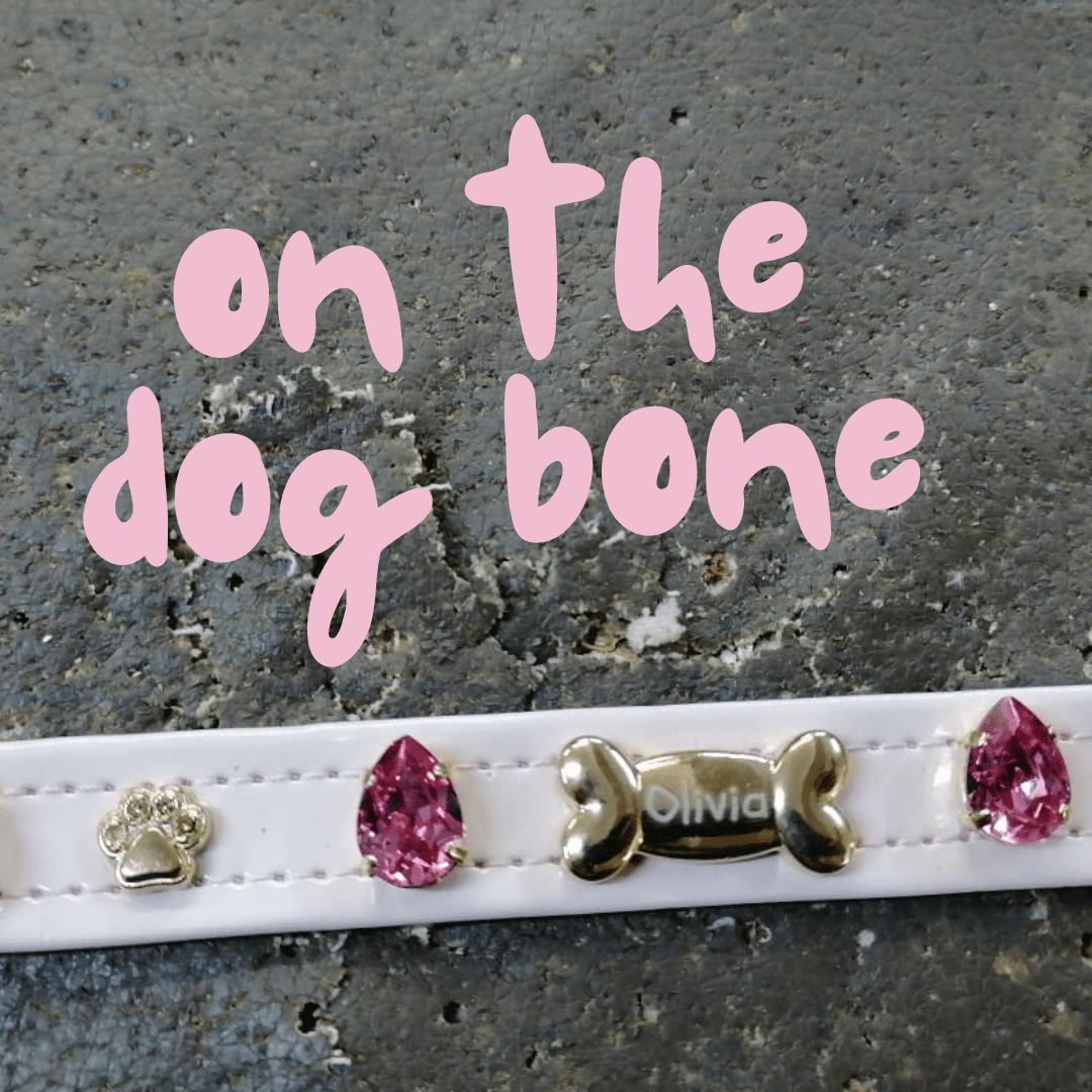 Chelsea Pink Swarovski Dog Collar 💎 - PAW LONDON