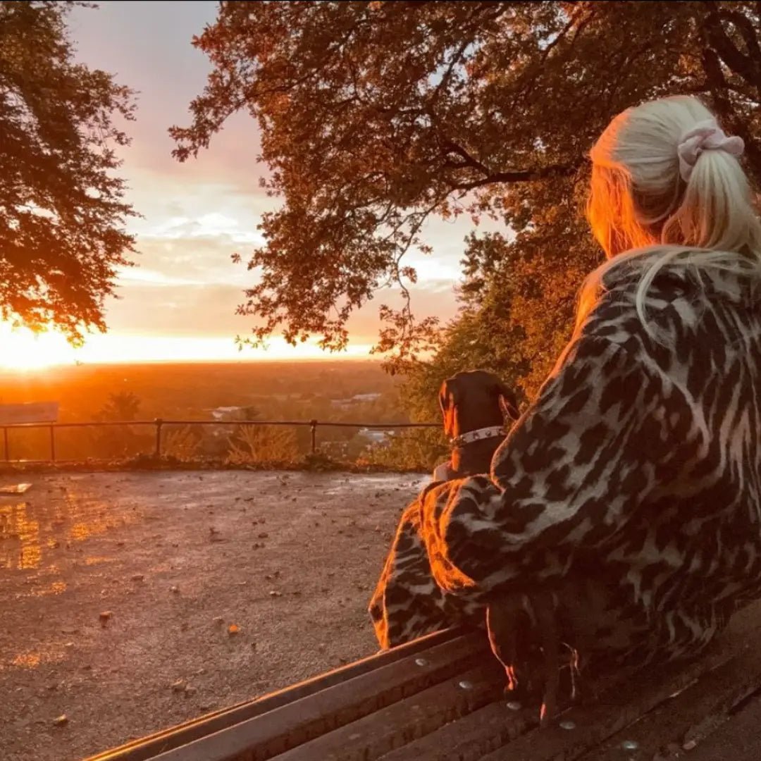 Chelsea Pink Swarovski Dog Collar 💎 - PAW LONDON