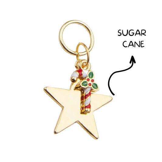 Christmas Dog ID Tag with Sugar Cane Charm | Free Engraving & Customizable Shapes - PAW LONDON