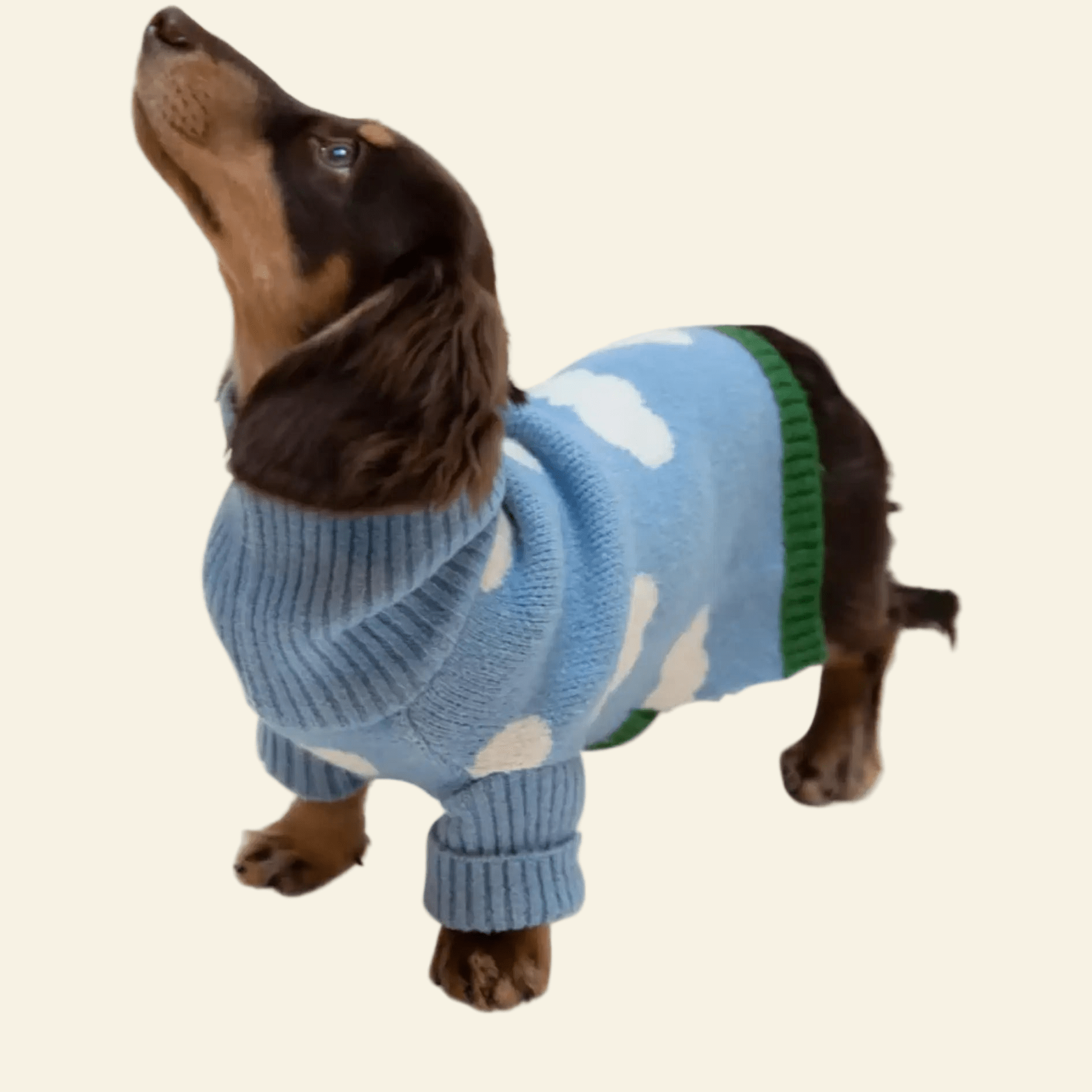 Cloud Theme Blue Soft Dog Sweater ☁️ - PAW LONDON