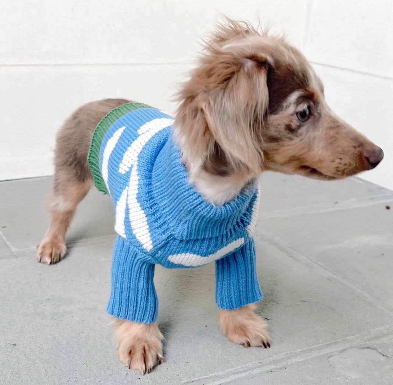 Cloud Theme Blue Soft Dog Sweater ☁️ - PAW LONDON