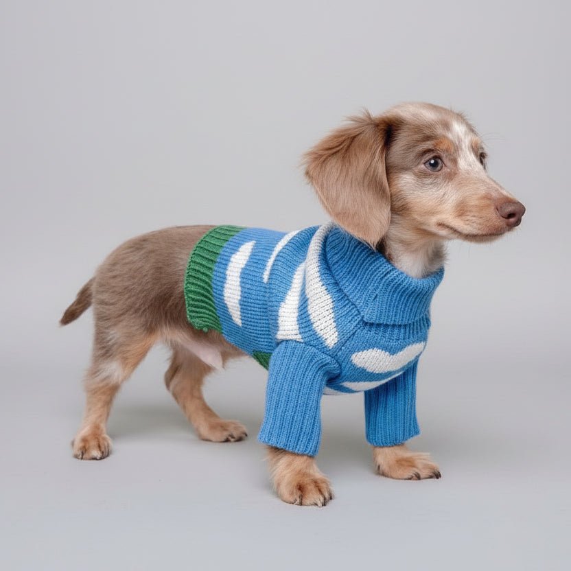 Cloud Theme Blue Soft Dog Sweater ☁️ - PAW LONDON