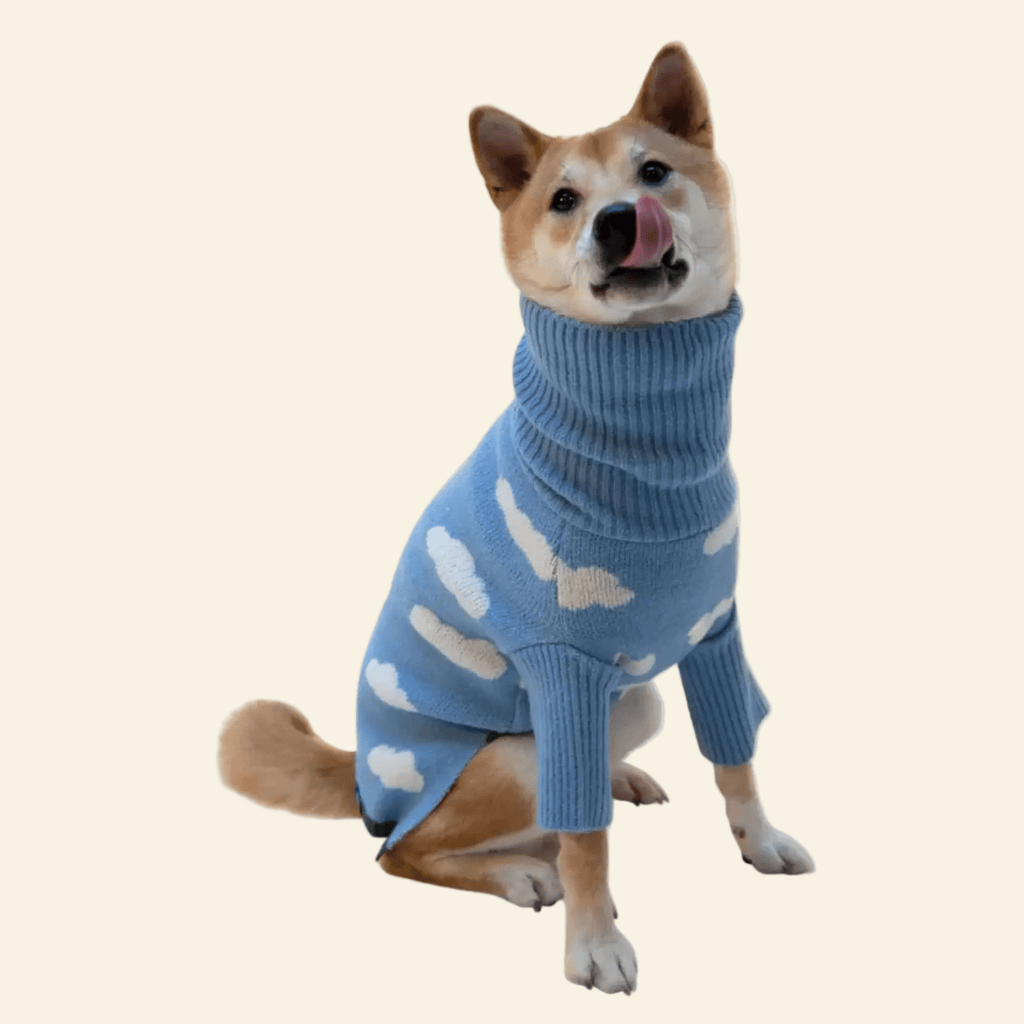 Cloud Theme Blue Soft Dog Sweater ☁️ - PAW LONDON