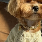 Cupid Gold Dog Collar 🏹 | GOLD - PAW LONDON