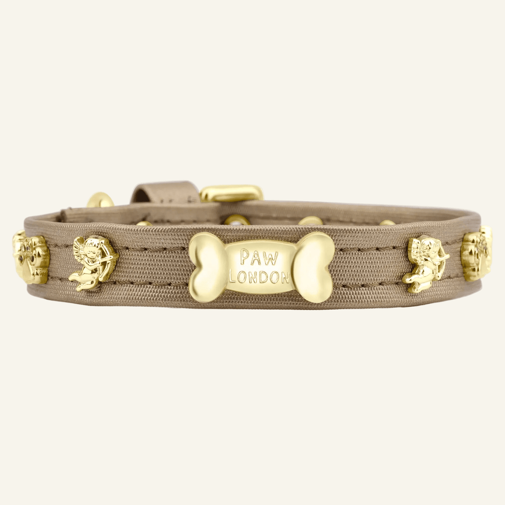 Cupid Gold Dog Collar 🏹 | GOLD - PAW LONDON