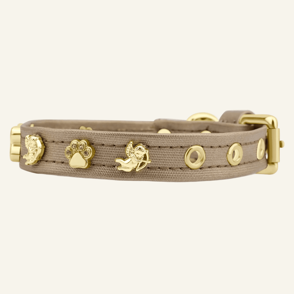 Cupid Gold Dog Collar 🏹 | GOLD - PAW LONDON