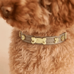 Cupid Gold Dog Collar 🏹 | GOLD - PAW LONDON