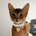 Diana Pearl Cat Collar | White