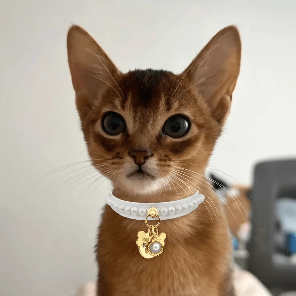 Diana Pearl Cat Collar | White