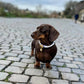 Diana Pearl Dog Collar Lilac 💜 - PAW LONDON