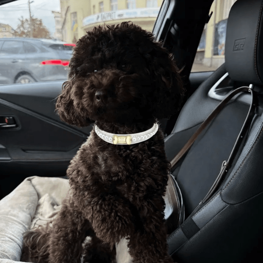 Diana Pearl Dog Collar White 🤍 - PAW LONDON