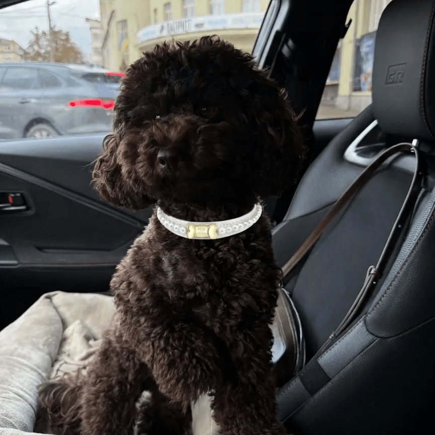 Diana Pearl Dog Collar White 🤍 - PAW LONDON