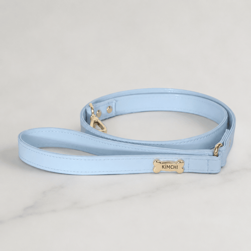 Basic Dog Leash | Baby Blue - PAW LONDON