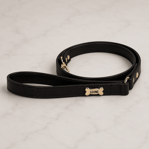 Basic Dog Leash | Black - PAW LONDON