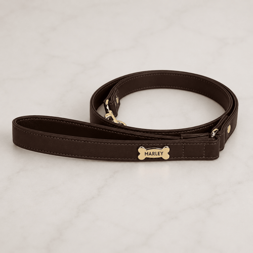 Basic Dog Leash | Brown - PAW LONDON