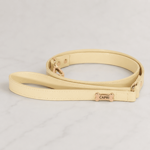Basic Dog Leash | Butter - PAW LONDON