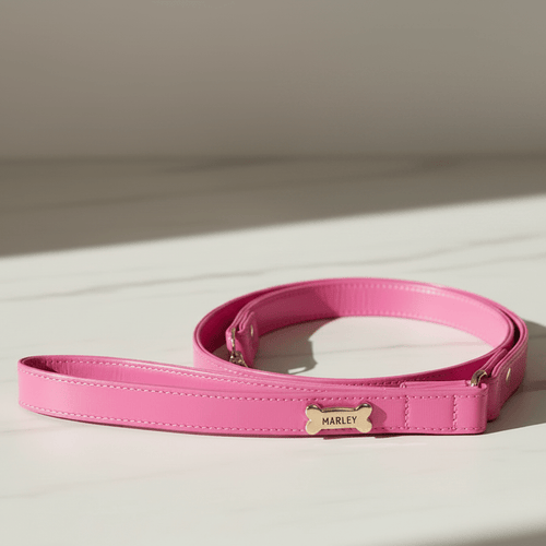 Basic Dog Leash | Hot Pink - PAW LONDON