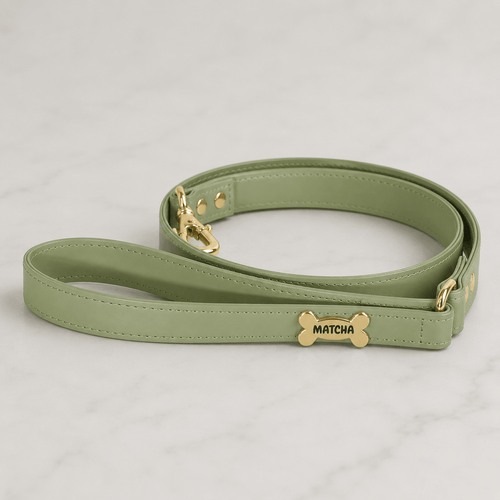 Basic Dog Leash | Matcha - PAW LONDON