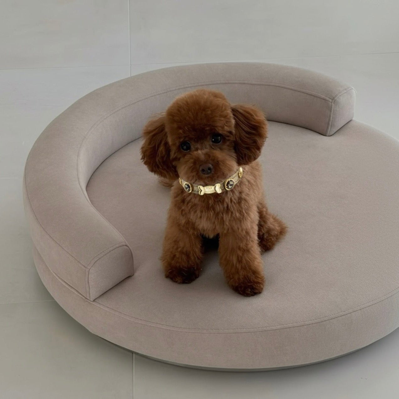 Elizabeth Gold Swarovski Dog Collar 💎 - PAW LONDON