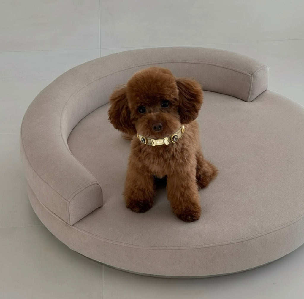 Elizabeth Gold Swarovski Dog Collar 💎 - PAW LONDON