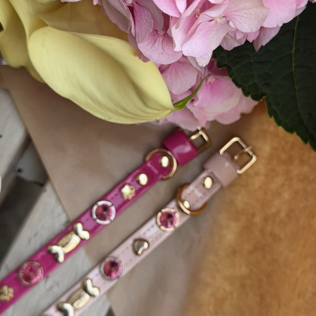Emma Swarovski Baby Pink Dog Collar 💎 - PAW LONDON