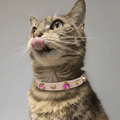 Emma Swarovski® Cat Collar - PAW LONDON