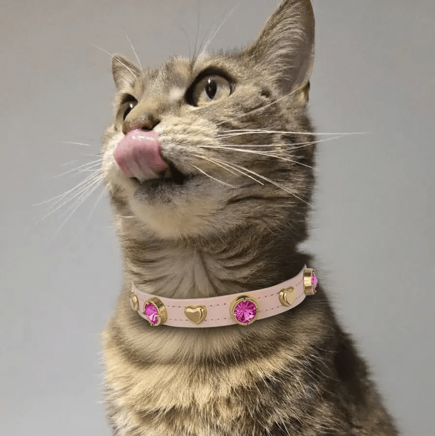 Emma Swarovski® Cat Collar - PAW LONDON