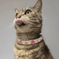 Emma Swarovski® Cat Collar - PAW LONDON