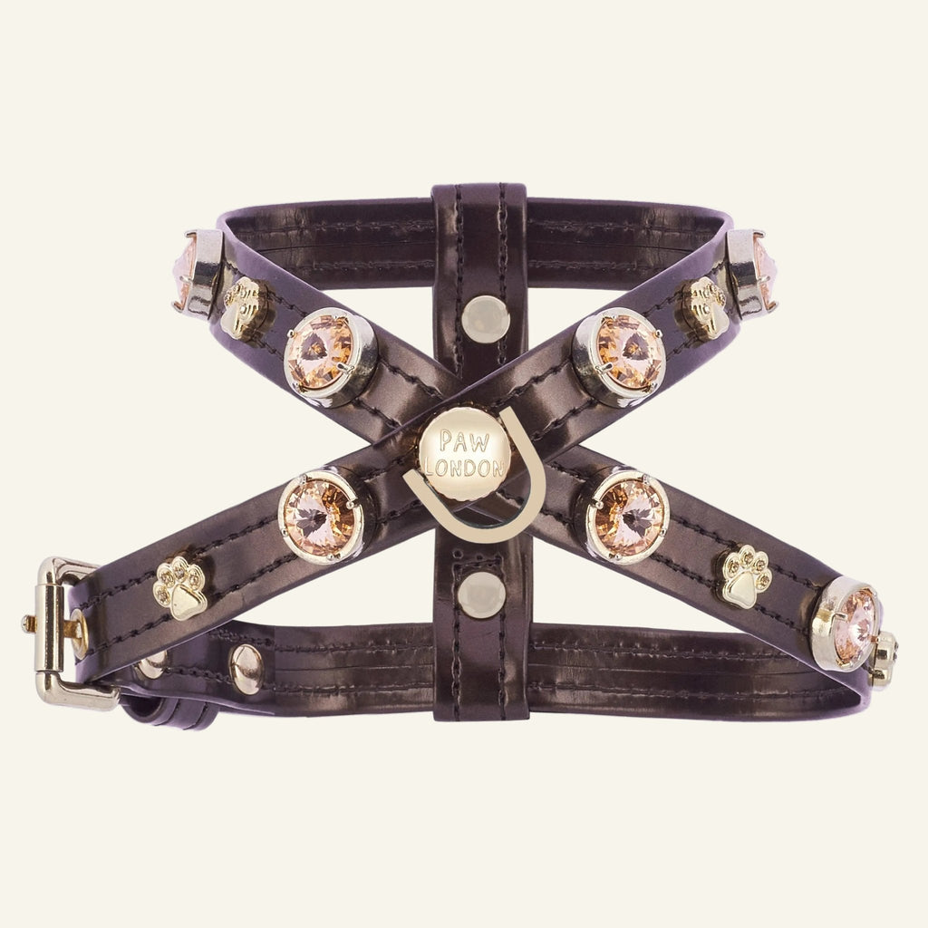 Espresso Swarovski Brown Dog Harness 💎 - PAW LONDON