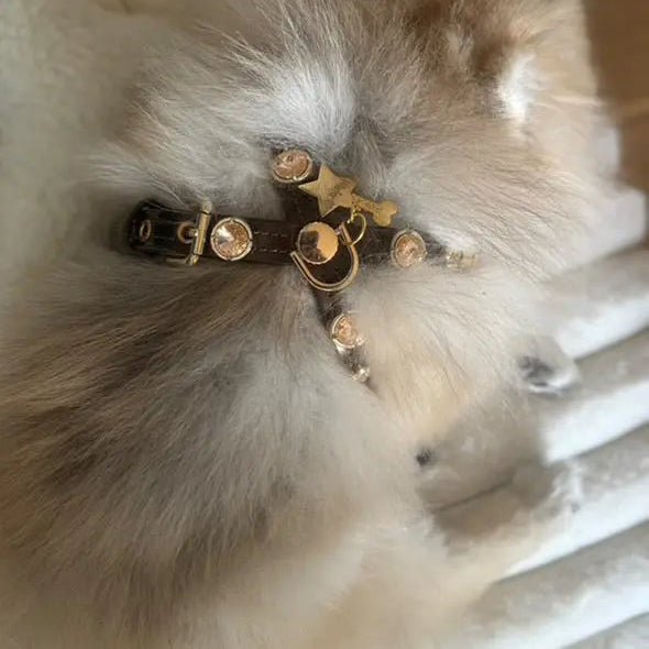 Espresso Swarovski Brown Dog Harness 💎 - PAW LONDON