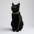 Evıl Eye Cat Collar Bitter - PAW LONDON