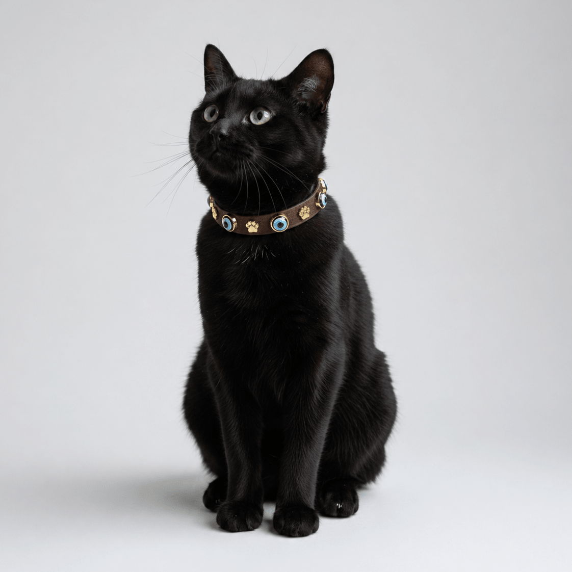 Evıl Eye Cat Collar Bitter - PAW LONDON
