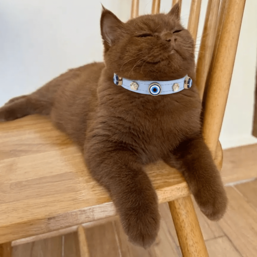 Evil Eye Cat Collar | Blue 🧿 - PAW LONDON