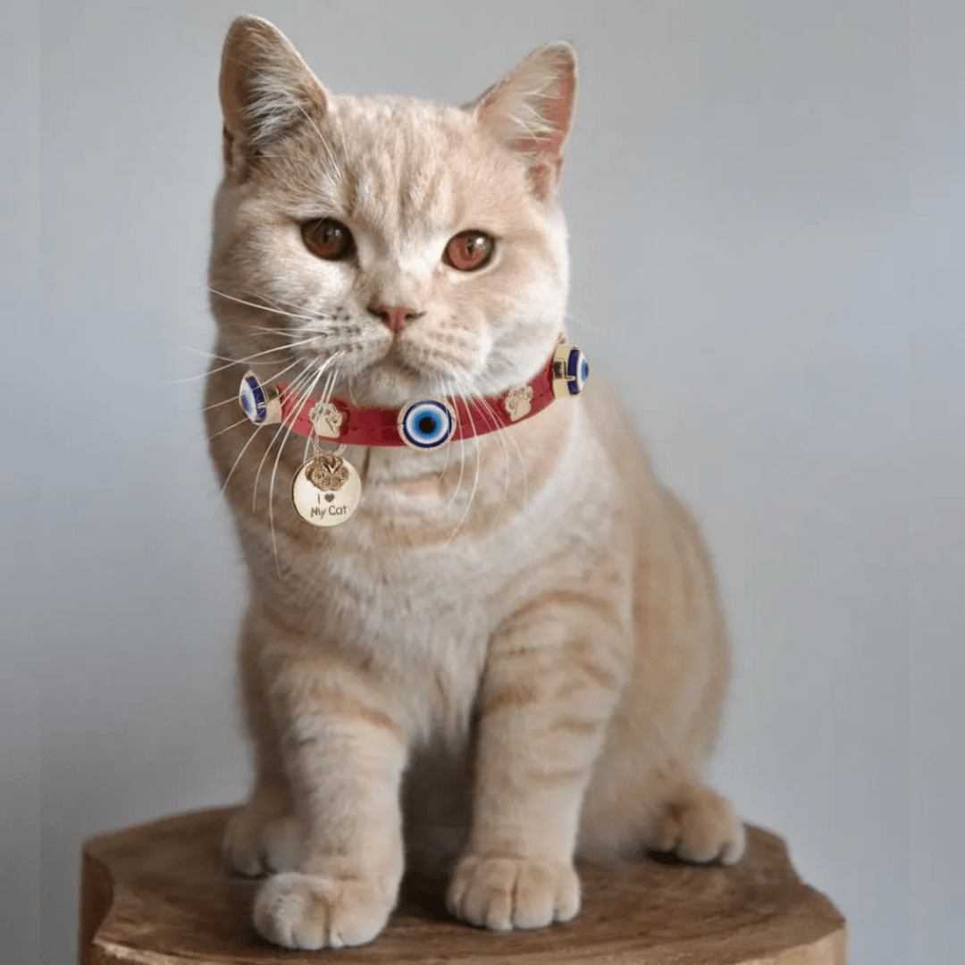 Katzenhalsband mit bsem Blick | Rot  - PAW LONDON