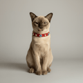 Evil Eye Cat Collar | Red - PAW LONDON