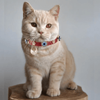 Evil Eye Cat Collar | Red 🧿 - PAW LONDON