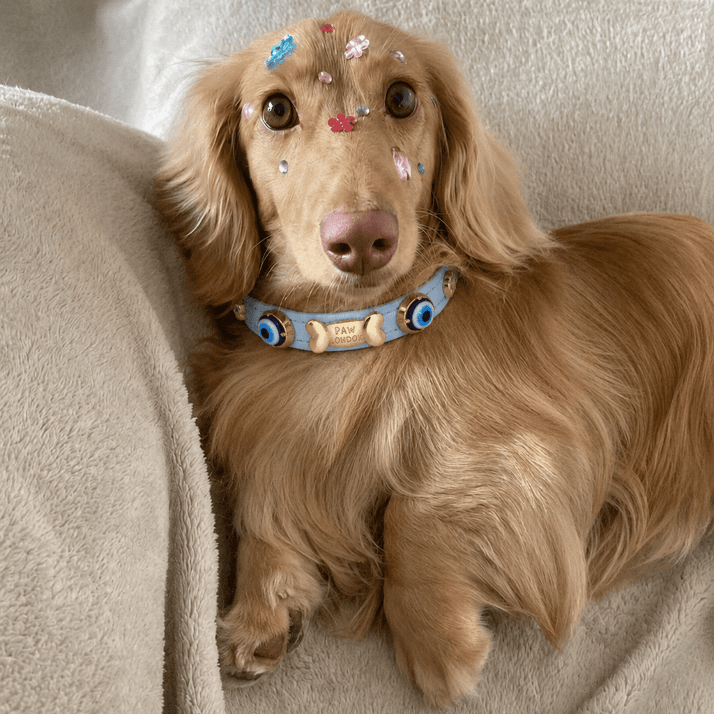 Evil Eye Dog Collar | Baby Blue - PAW LONDON