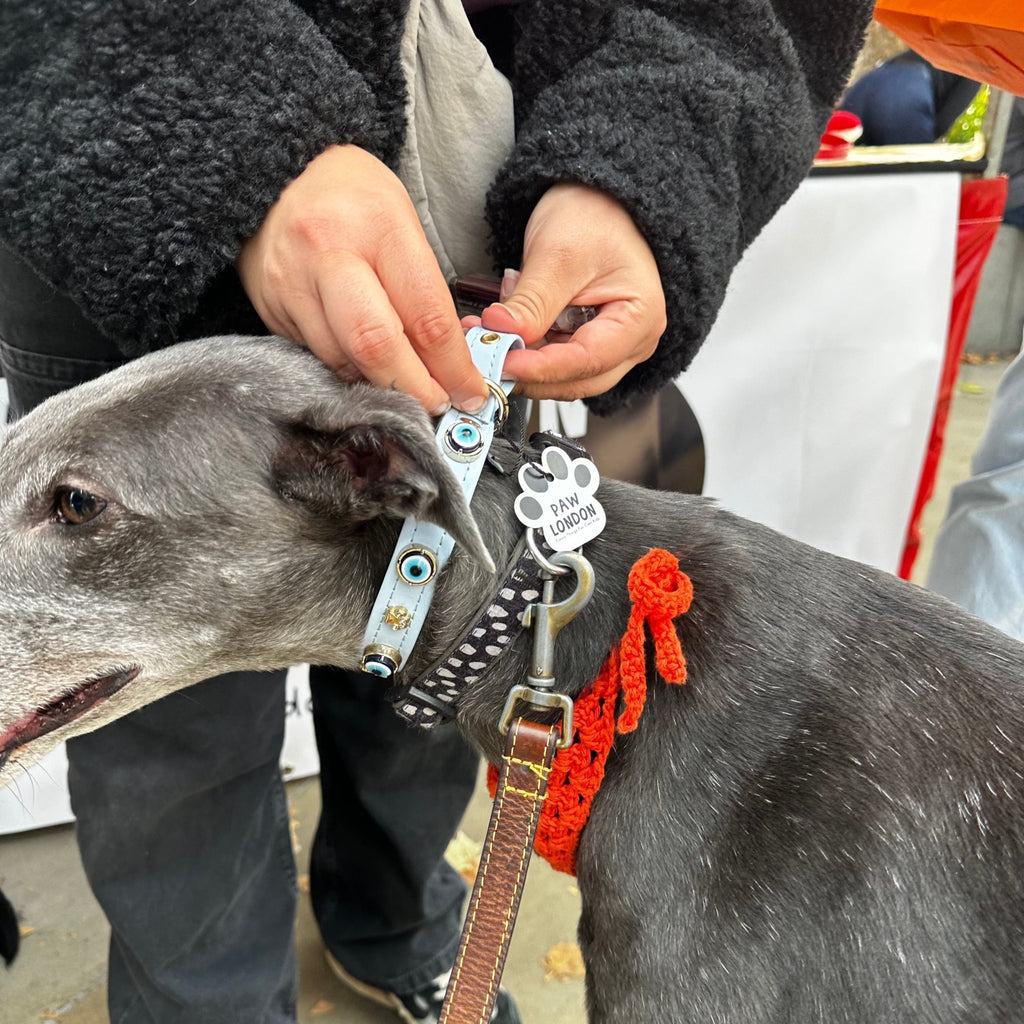 Evil Eye Dog Collar Baby Blue 🧿 - PAW LONDON