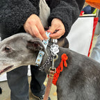 Evil Eye Dog Collar Baby Blue 🧿 - PAW LONDON