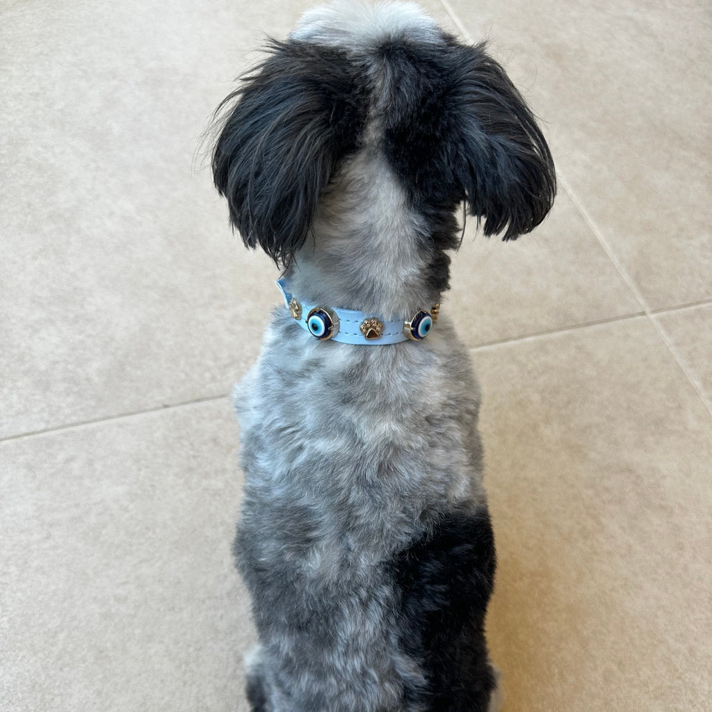 Evil Eye Dog Collar Baby Blue 🧿 - PAW LONDON