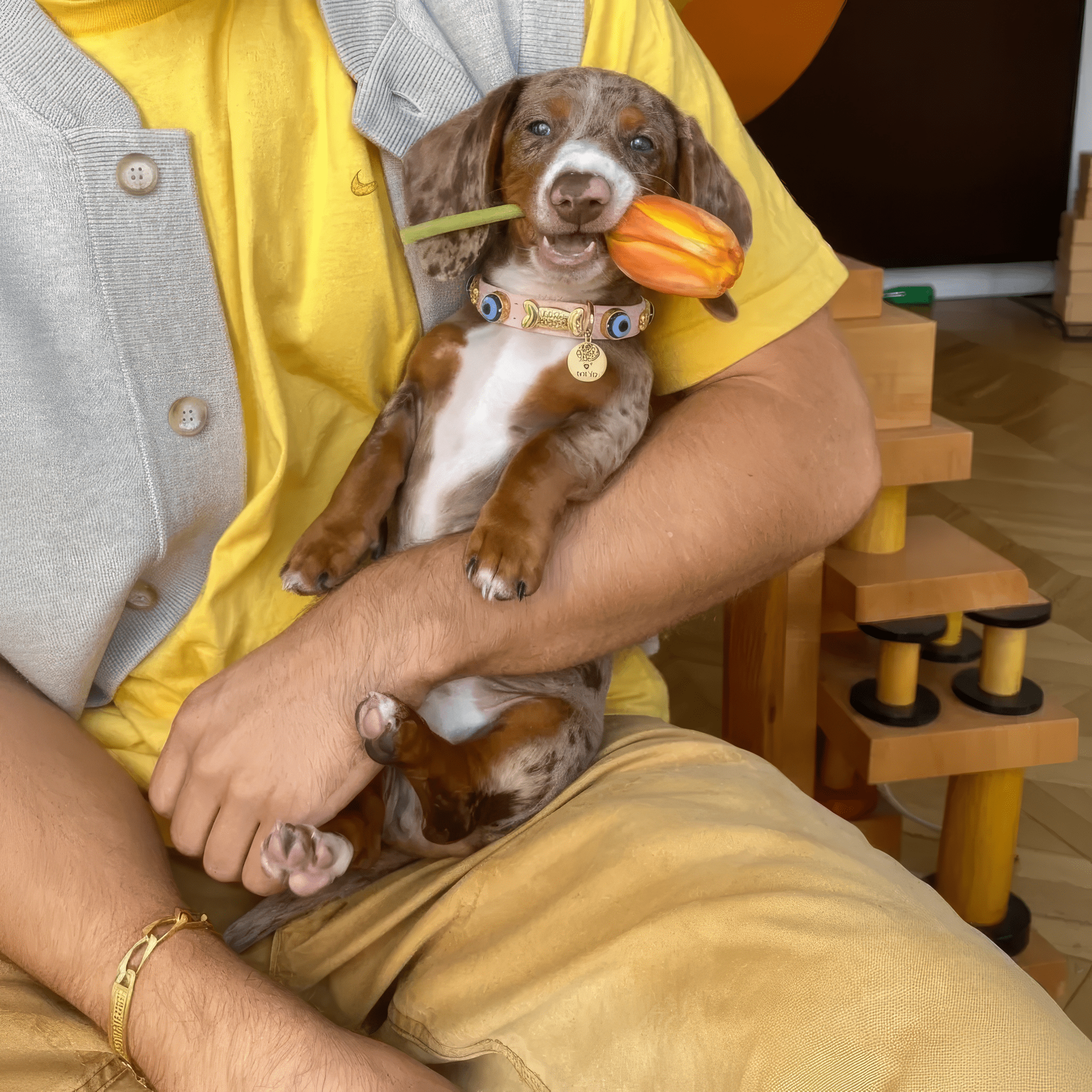 Evil Eye Dog Collar | Baby Pink 💘 - PAW LONDON