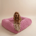 Evil Eye Dog Collar | Baby Pink 💘 - PAW LONDON