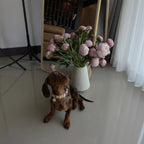 Evil Eye Dog Collar | Baby Pink 💘 - PAW LONDON